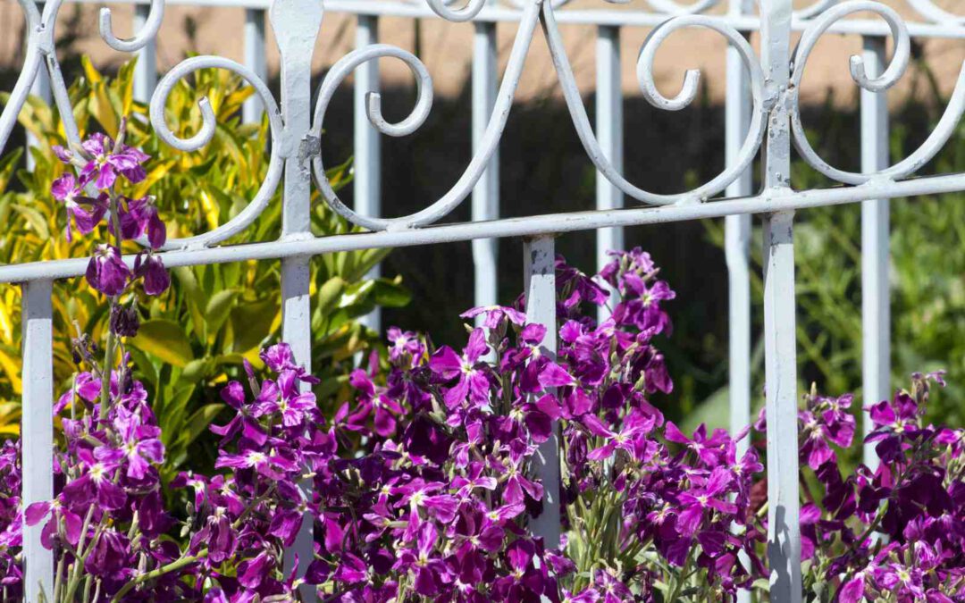 Gesunde Grenzen setzen