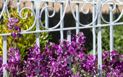 Gesunde Grenzen setzen