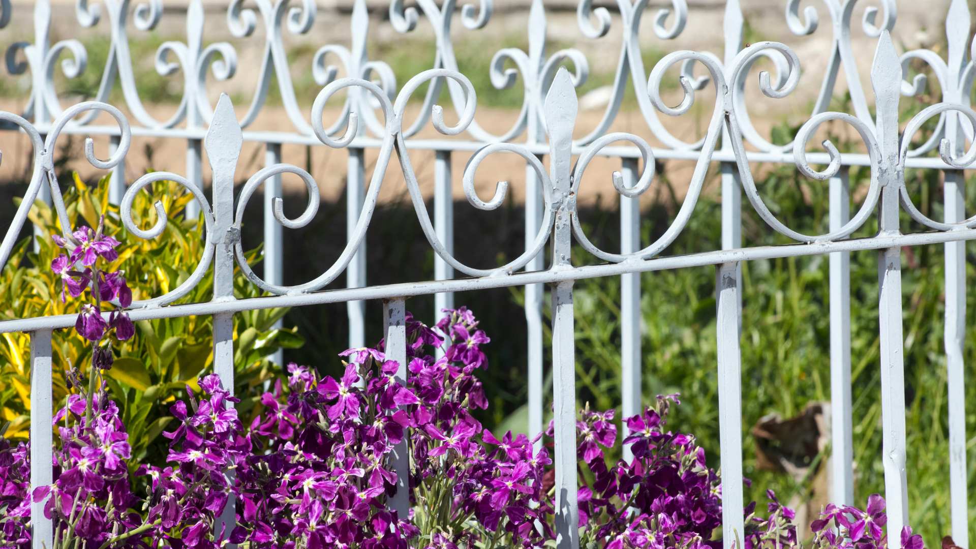 Gesunde Grenzen setzen