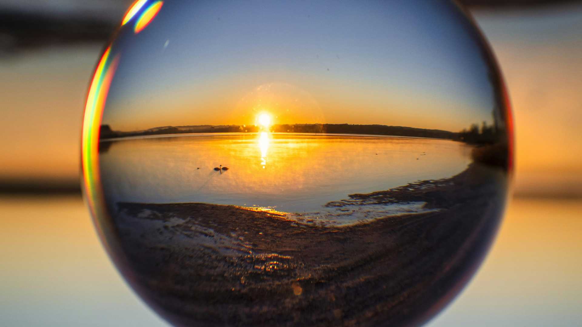 Selbstreflexion Coaching Sarah Toussaint